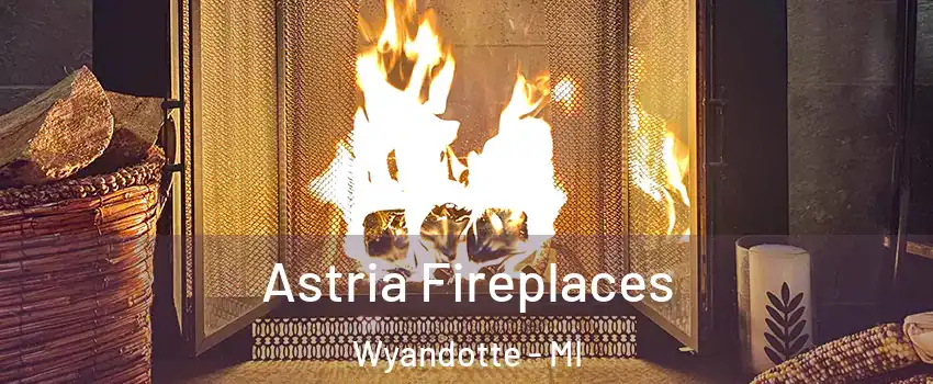  Astria Fireplaces Wyandotte - MI