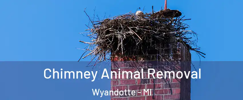  Chimney Animal Removal Wyandotte - MI
