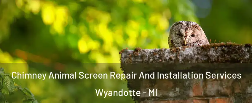  Chimney Animal Screen Repair And Installation Services Wyandotte - MI