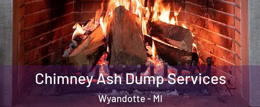  Chimney Ash Dump Services Wyandotte - MI