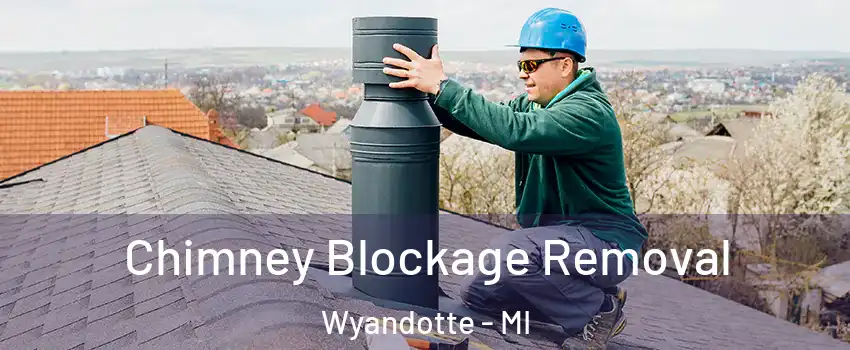  Chimney Blockage Removal Wyandotte - MI