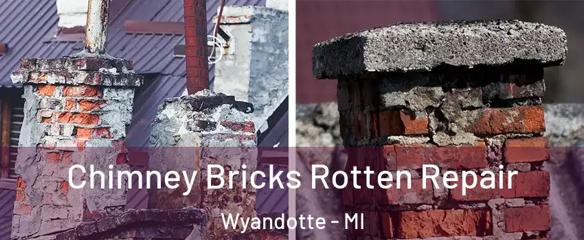  Chimney Bricks Rotten Repair Wyandotte - MI