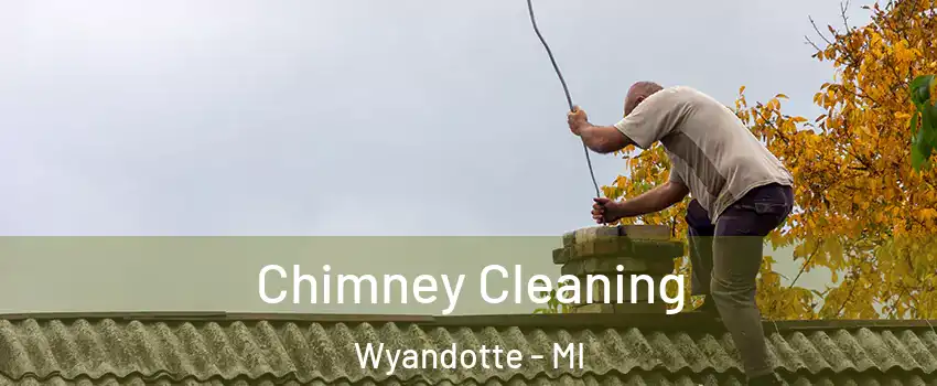  Chimney Cleaning Wyandotte - MI