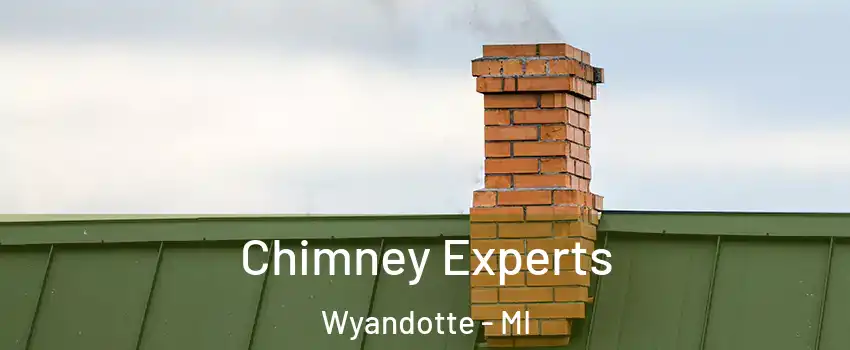  Chimney Experts Wyandotte - MI
