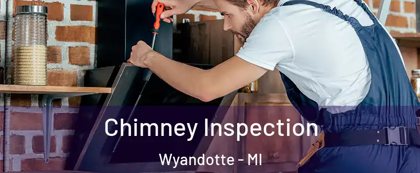  Chimney Inspection Wyandotte - MI