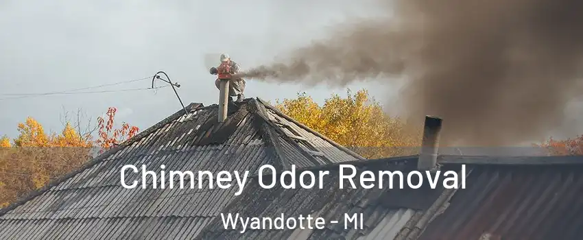  Chimney Odor Removal Wyandotte - MI