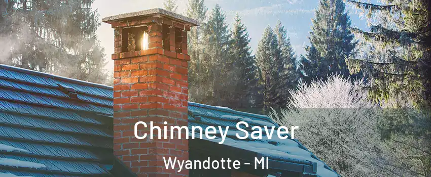  Chimney Saver Wyandotte - MI