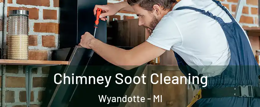  Chimney Soot Cleaning Wyandotte - MI