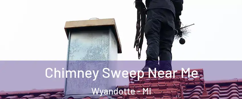  Chimney Sweep Near Me Wyandotte - MI