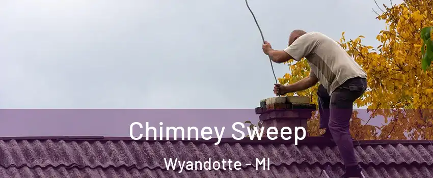  Chimney Sweep Wyandotte - MI