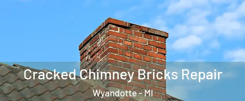  Cracked Chimney Bricks Repair Wyandotte - MI