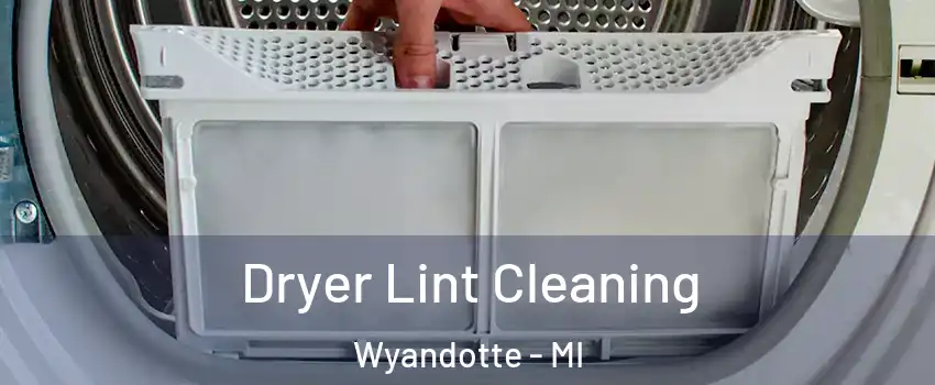  Dryer Lint Cleaning Wyandotte - MI