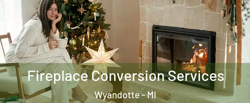  Fireplace Conversion Services Wyandotte - MI
