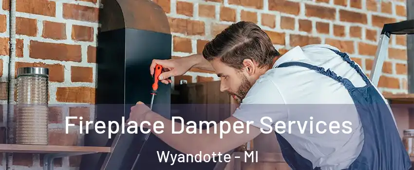  Fireplace Damper Services Wyandotte - MI