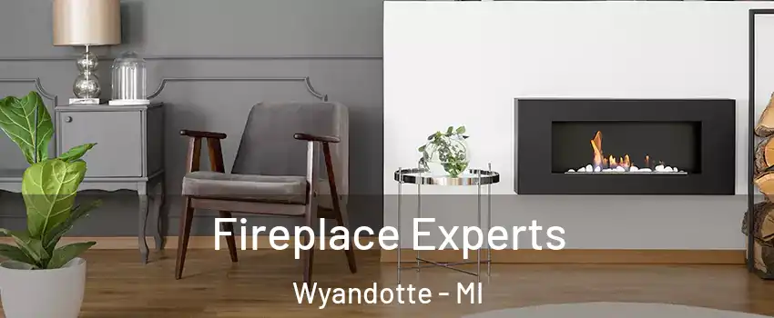  Fireplace Experts Wyandotte - MI