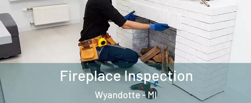  Fireplace Inspection Wyandotte - MI