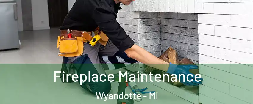 Fireplace Maintenance Wyandotte - MI