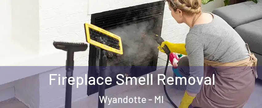  Fireplace Smell Removal Wyandotte - MI