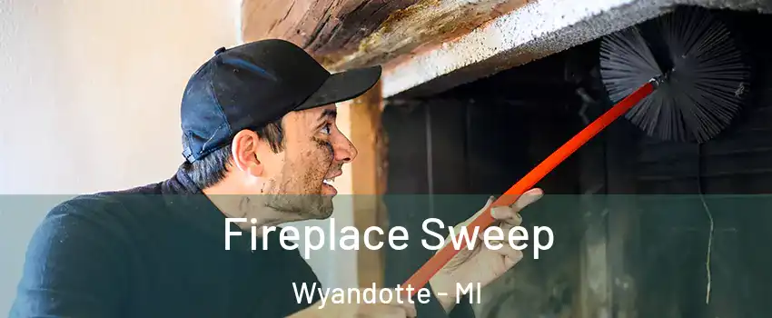  Fireplace Sweep Wyandotte - MI