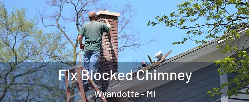  Fix Blocked Chimney Wyandotte - MI