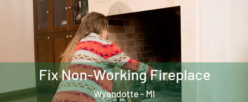  Fix Non-Working Fireplace Wyandotte - MI