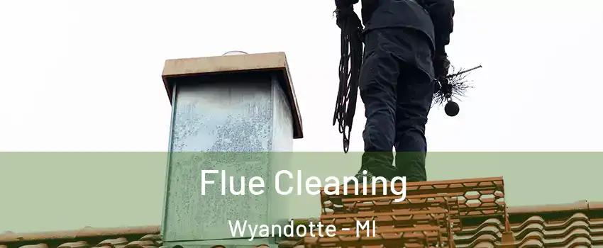  Flue Cleaning Wyandotte - MI