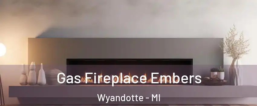  Gas Fireplace Embers Wyandotte - MI