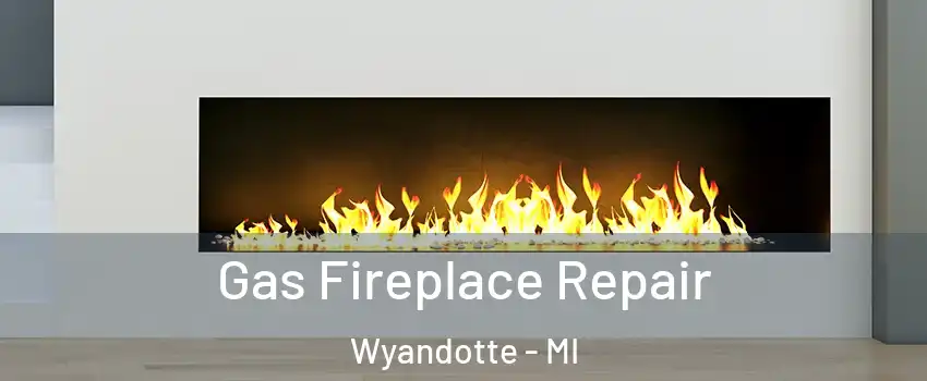  Gas Fireplace Repair Wyandotte - MI