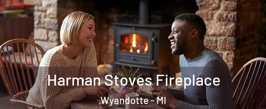 Harman Stoves Fireplace Wyandotte - MI