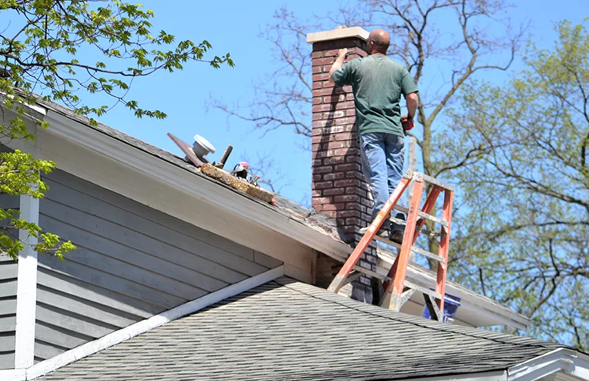 Chimney & Fireplace Inspections Services in Wyandotte, MI