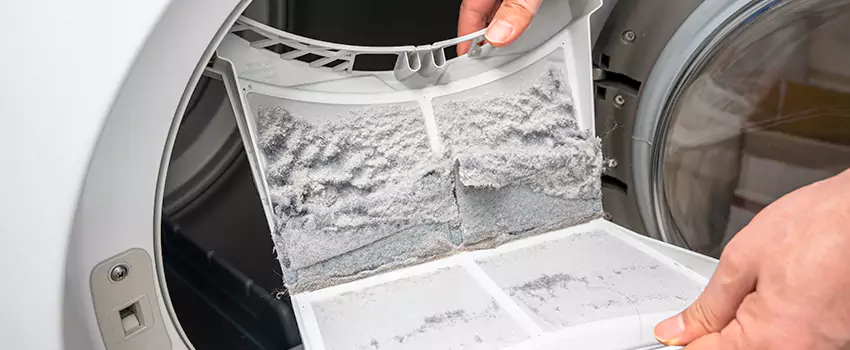Best Dryer Lint Removal Company in Wyandotte, Michigan