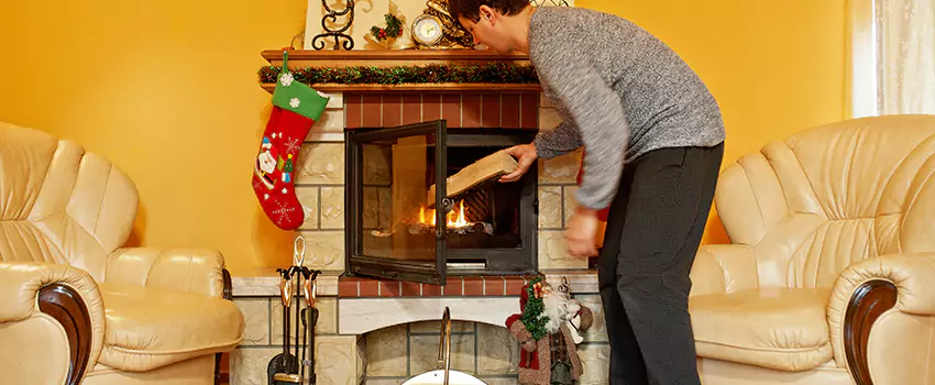 Gas to Wood-Burning Fireplace Conversion Services in Wyandotte, Michigan