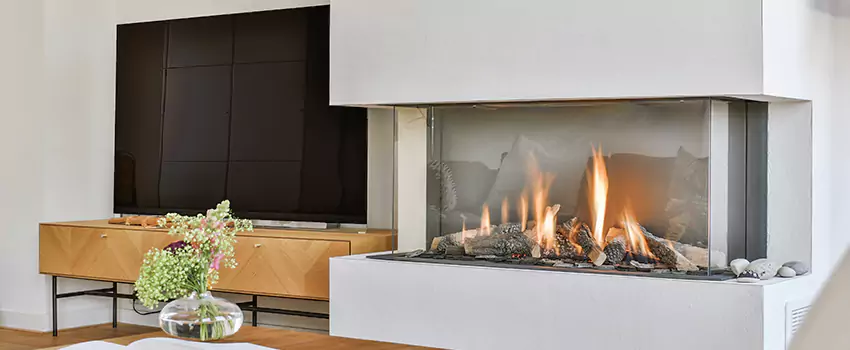 Ortal Wilderness Fireplace Repair and Maintenance in Wyandotte, Michigan