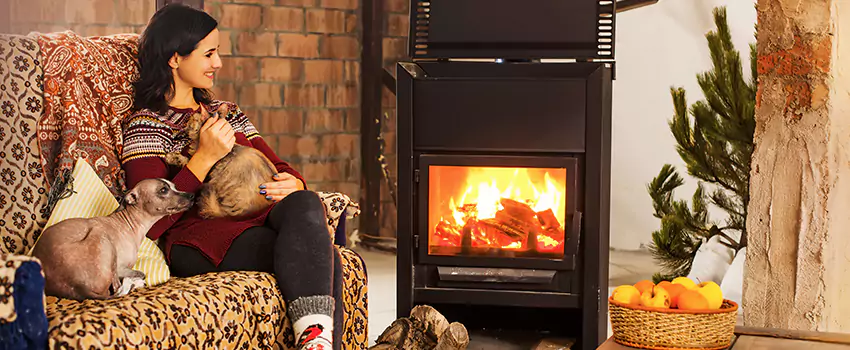 Wood Stove Chimney Cleaning Services in Wyandotte, MI