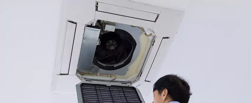 Benefits of Professional Air Duct Cleaning in Wyandotte, Michigan