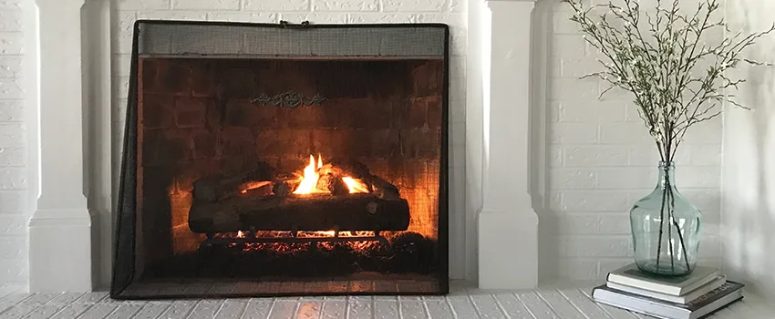 Cost-Effective Fireplace Mantel Inspection And Maintenance in Wyandotte, MI