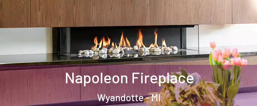 Napoleon Fireplace Wyandotte - MI