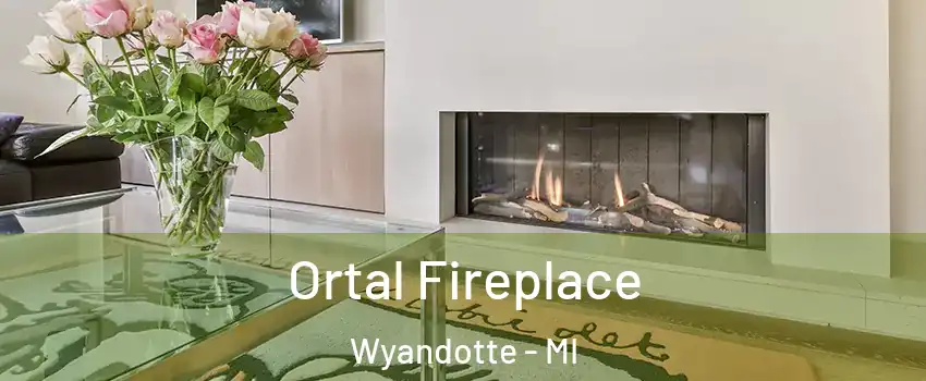  Ortal Fireplace Wyandotte - MI