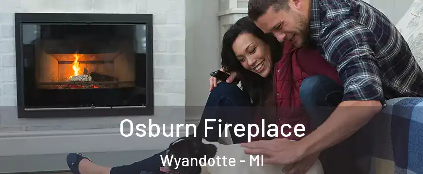  Osburn Fireplace Wyandotte - MI