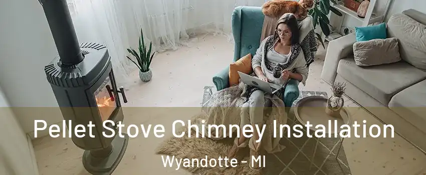  Pellet Stove Chimney Installation Wyandotte - MI