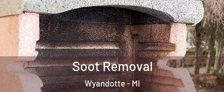  Soot Removal Wyandotte - MI