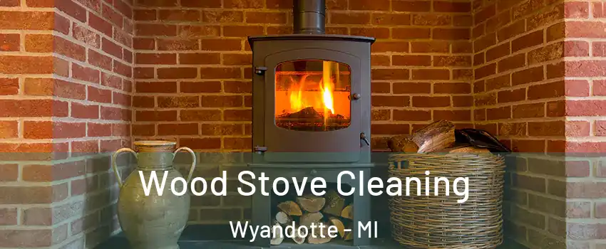  Wood Stove Cleaning Wyandotte - MI